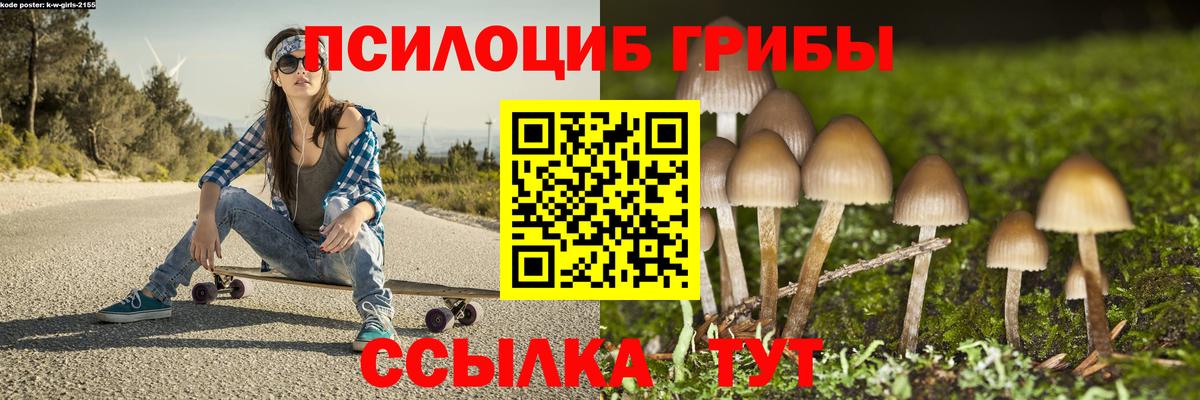Галлюциногенные грибы Psilocybe Мирный