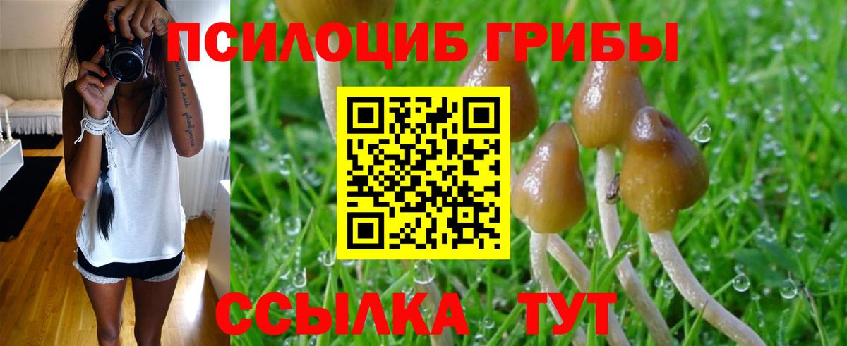 Мирный  Галлюциногенные грибы Psilocybe  где купить наркотик  Вход с VPN  Псилоцибиновые грибы Cubensis 
